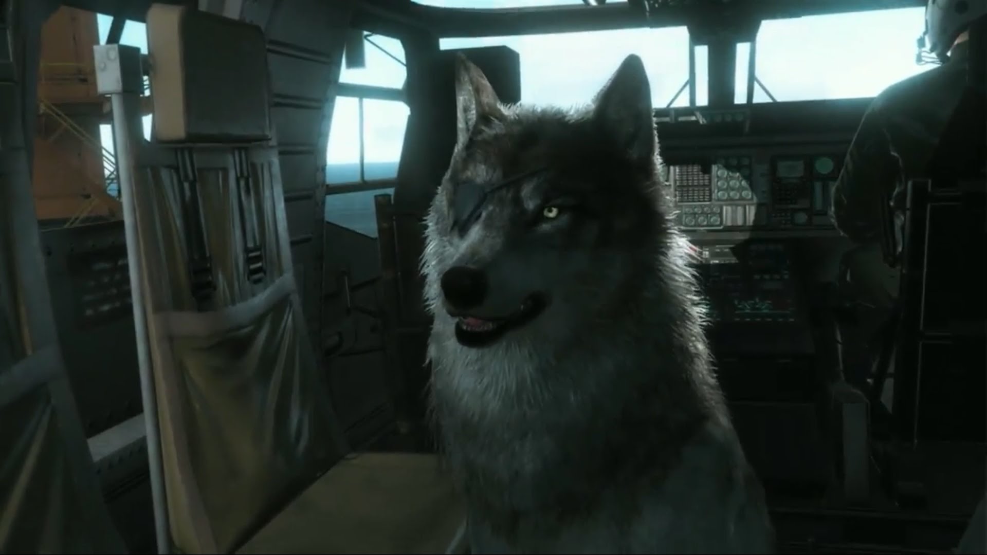 Metal Gear Solid 5 The Phantom Pain Video zeigt einen tierischen Begleiter